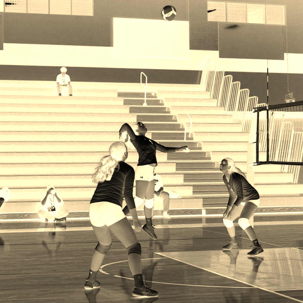Why has Vietnam women's volleyball declined in the past year?