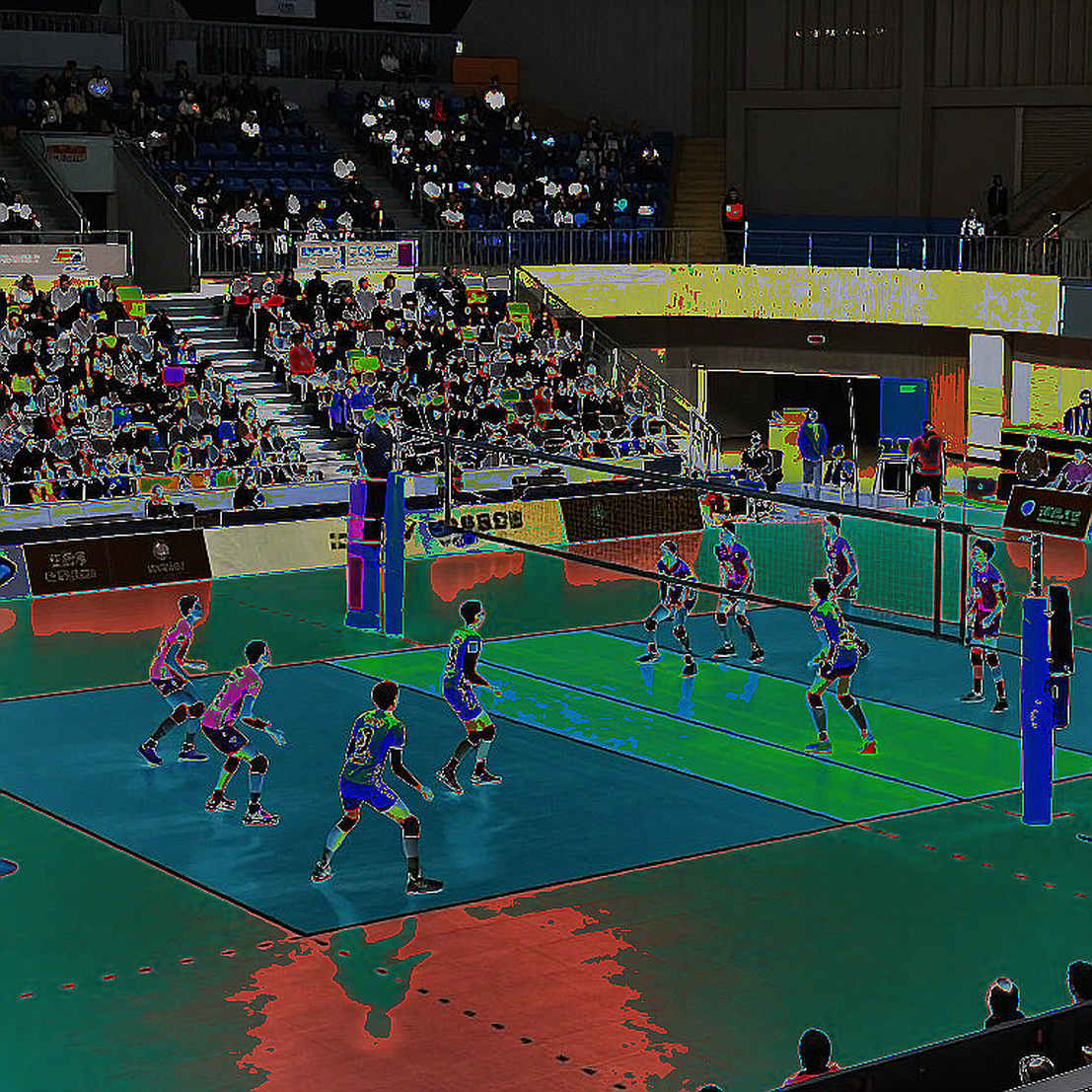 Why has Vietnam women's volleyball declined in the past year?