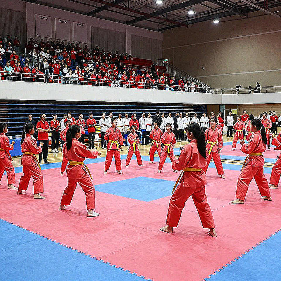 The Throw in Macau and the 56kg Equation: Đinh Văn Tâm vs Ou Jiaming in the Sanda Final at Asiad 20