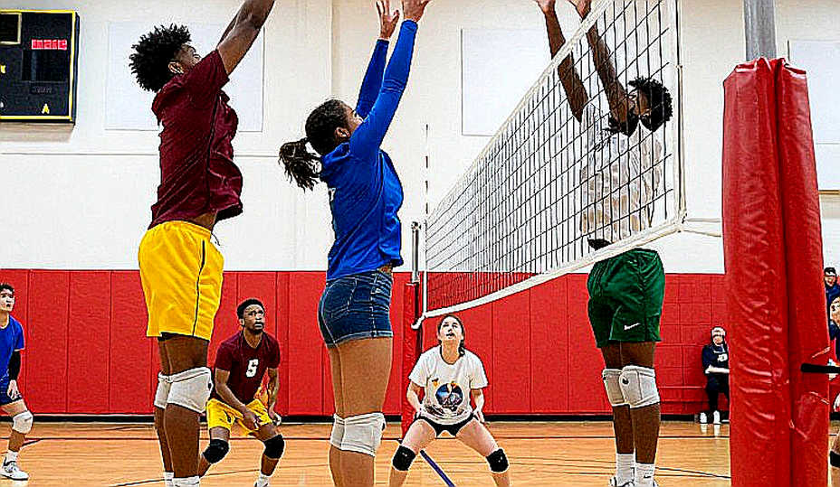 2026 Showdown at the Net: The ACC-SEC Clash and the Brand Equation Between Two Volleyball Conferences 2026 Showdown at the Net: The ACC-SEC Clash and the Brand Equation Between Two Volleyball Conferences