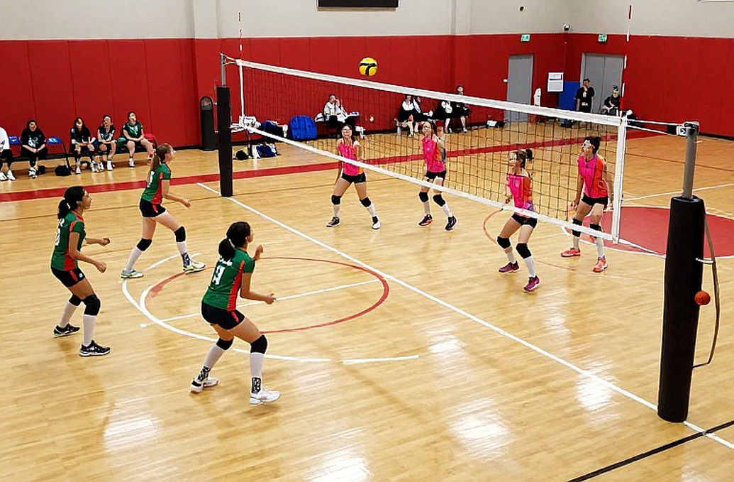 Asiad 20 Women's Volleyball Final: Japan vs China, and a Cracking Order
