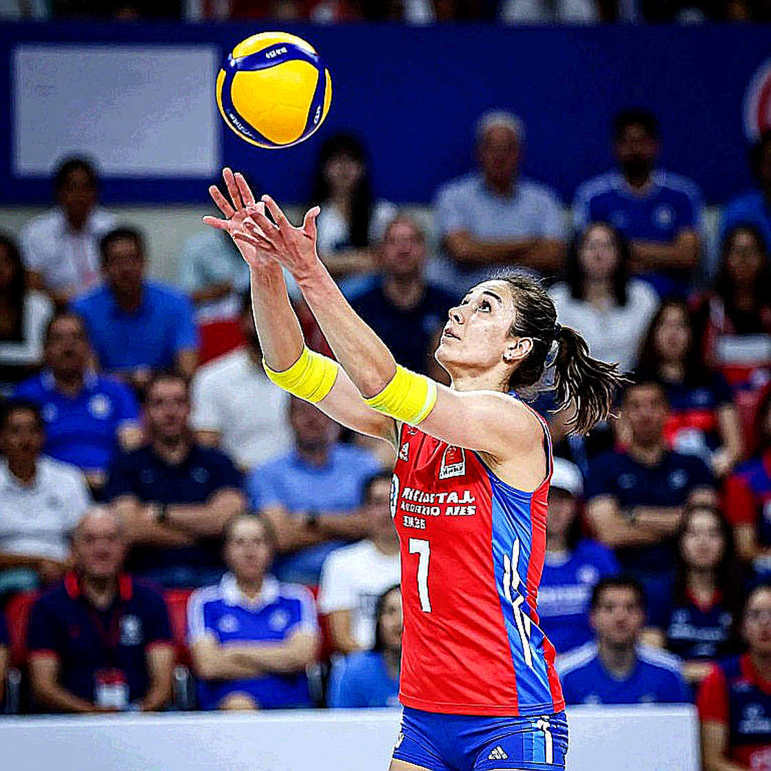 Halkbank và mùa giải 2026-2027: tấm bản đồ dữ liệu vẫn còn để trống
